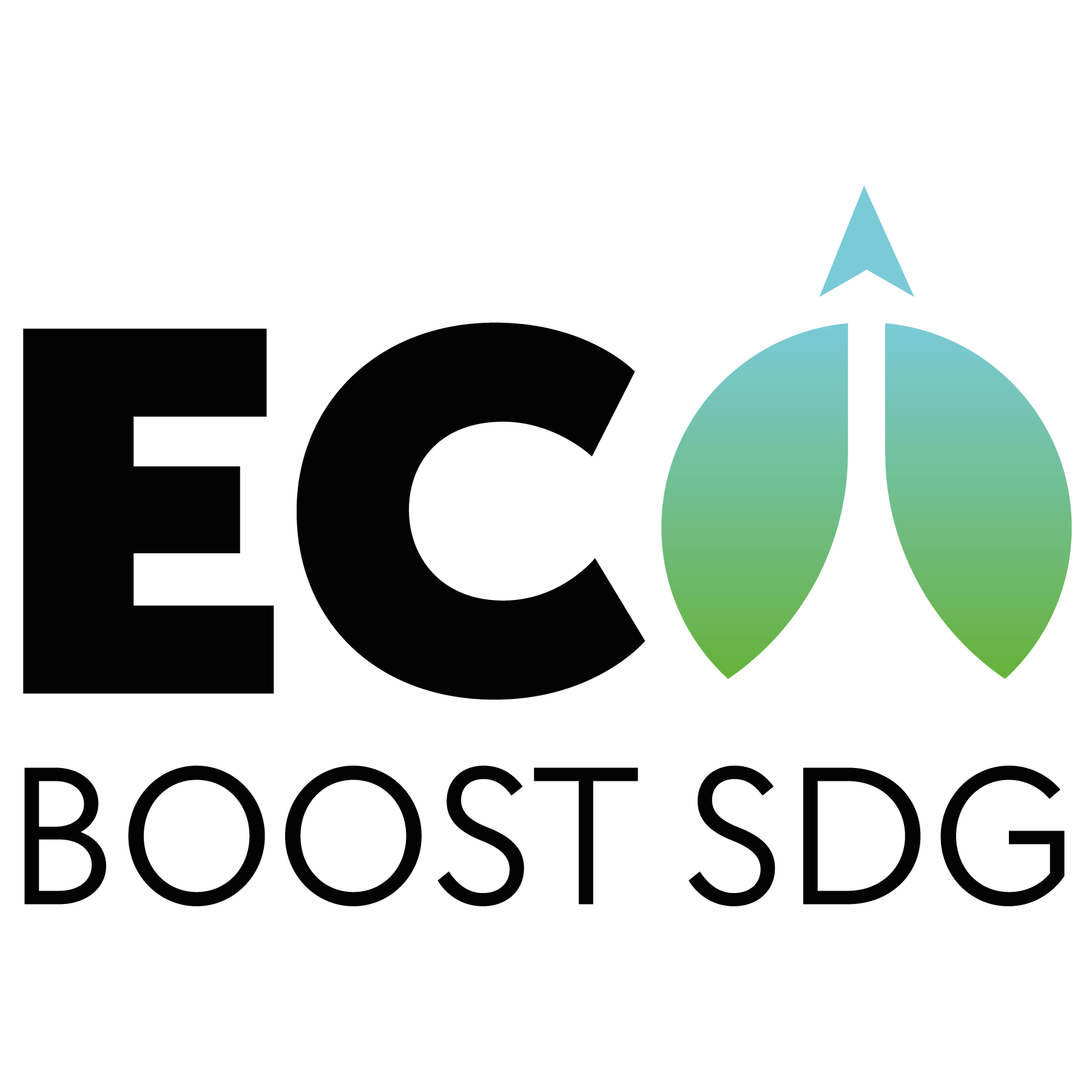 ecoboostsdg.com