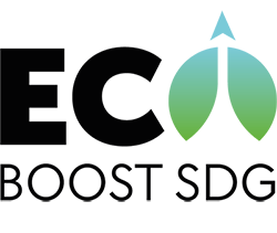 ecoboostsdg.com